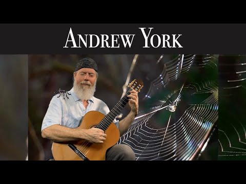 Andrew York – Spider Dance